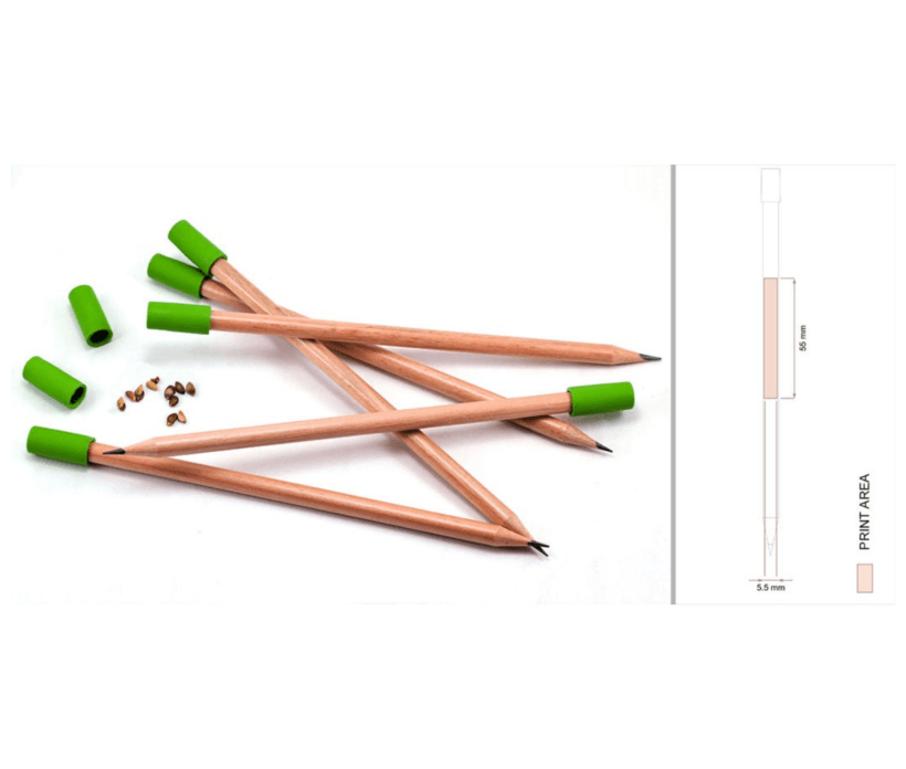 Taran wooden pencil with bio erasers and seeds GPST6013