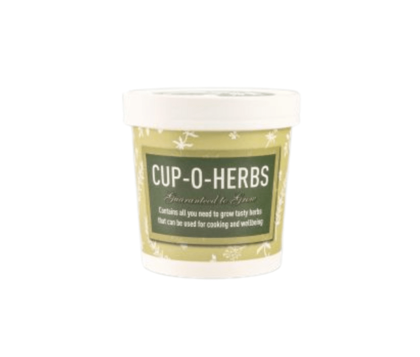 Gloweasy Green & Eco Seeds Cup – Cup-o-Herbs Gloweasy Green & Eco Seeds Cup – Cup-o-Herbs