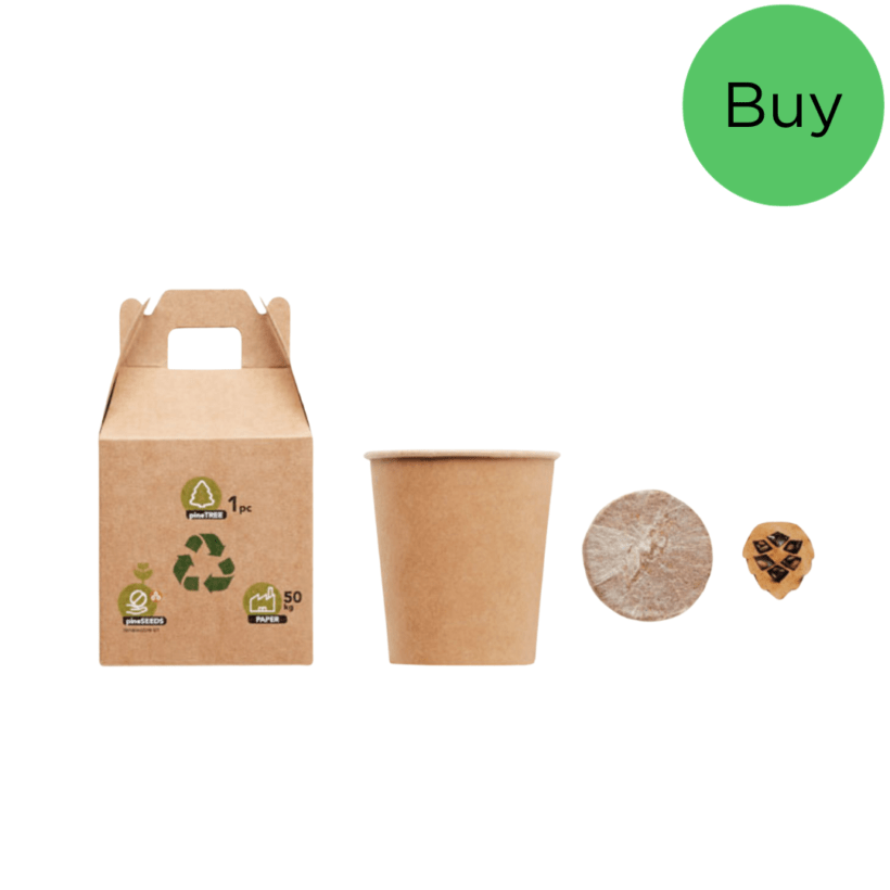 Ashcombe Pine Tree Set Product Code GPMO6228-13