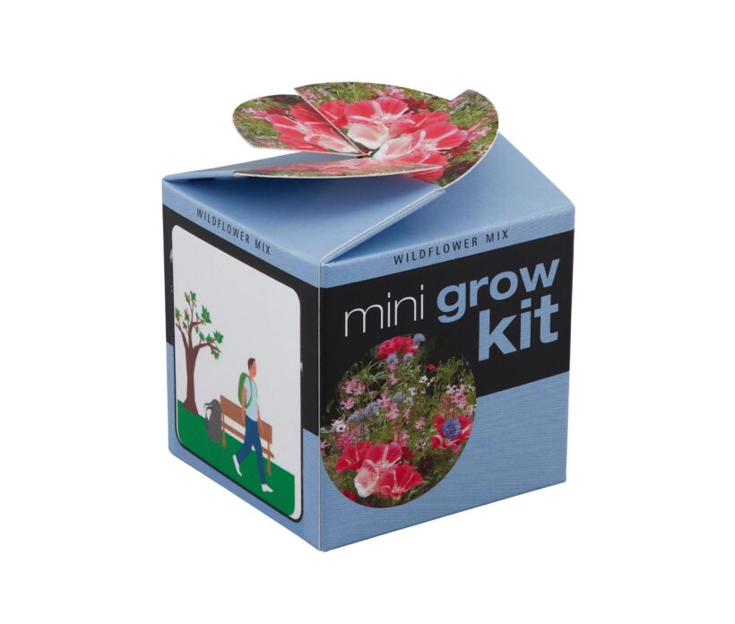 Gloweasy Green & Eco Tiny Terracotta Cube